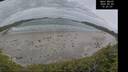./images/calvert/beach/20260603/beach20260603_152002M.jpg