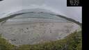 ./images/calvert/beach/20260603/beach20260603_155501M.jpg