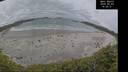 ./images/calvert/beach/20260603/beach20260603_160501M.jpg