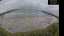 ./images/calvert/beach/20260603/beach20260603_161501M.jpg