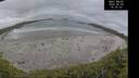 ./images/calvert/beach/20260603/beach20260603_163501M.jpg