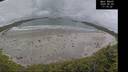 ./images/calvert/beach/20260603/beach20260603_171001M.jpg