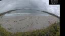 ./images/calvert/beach/20260604/beach20260604_050501M.jpg