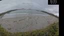 ./images/calvert/beach/20260604/beach20260604_051501M.jpg