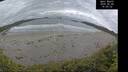 ./images/calvert/beach/20260604/beach20260604_160001M.jpg