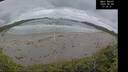 ./images/calvert/beach/20260604/beach20260604_173501M.jpg