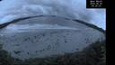 ./images/calvert/beach/20260605/beach20260605_043002M.jpg