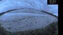 ./images/calvert/beach/20260605/beach20260605_043501M.jpg