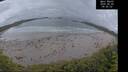 ./images/calvert/beach/20260605/beach20260605_045501M.jpg