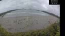 ./images/calvert/beach/20260605/beach20260605_063501M.jpg