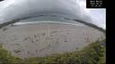 ./images/calvert/beach/20260605/beach20260605_073501M.jpg