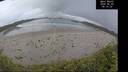 ./images/calvert/beach/20260605/beach20260605_081501M.jpg