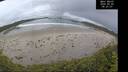 ./images/calvert/beach/20260605/beach20260605_082001M.jpg