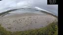 ./images/calvert/beach/20260605/beach20260605_082501M.jpg