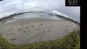 ./images/calvert/beach/20260605/beach20260605_083001M.jpg