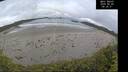 ./images/calvert/beach/20260605/beach20260605_083501M.jpg