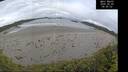 ./images/calvert/beach/20260605/beach20260605_084001M.jpg