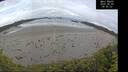 ./images/calvert/beach/20260605/beach20260605_084501M.jpg