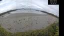 ./images/calvert/beach/20260605/beach20260605_085001M.jpg
