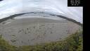 ./images/calvert/beach/20260605/beach20260605_085501M.jpg