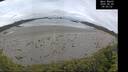 ./images/calvert/beach/20260605/beach20260605_090001M.jpg