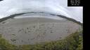 ./images/calvert/beach/20260605/beach20260605_090501M.jpg