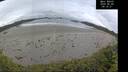 ./images/calvert/beach/20260605/beach20260605_091001M.jpg