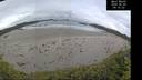 ./images/calvert/beach/20260605/beach20260605_091501M.jpg