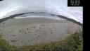 ./images/calvert/beach/20260605/beach20260605_092002M.jpg