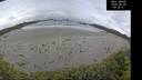 ./images/calvert/beach/20260605/beach20260605_092501M.jpg