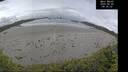 ./images/calvert/beach/20260605/beach20260605_093501M.jpg