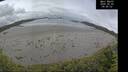 ./images/calvert/beach/20260605/beach20260605_094001M.jpg