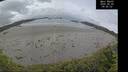 ./images/calvert/beach/20260605/beach20260605_094501M.jpg