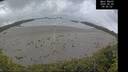./images/calvert/beach/20260605/beach20260605_095501M.jpg