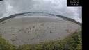 ./images/calvert/beach/20260605/beach20260605_100001M.jpg