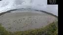 ./images/calvert/beach/20260605/beach20260605_104001M.jpg
