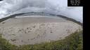 ./images/calvert/beach/20260605/beach20260605_105501M.jpg