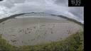 ./images/calvert/beach/20260605/beach20260605_110501M.jpg