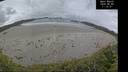 ./images/calvert/beach/20260605/beach20260605_111501M.jpg