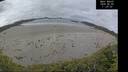 ./images/calvert/beach/20260605/beach20260605_112501M.jpg