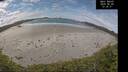./images/calvert/beach/20260605/beach20260605_123501M.jpg