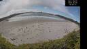 ./images/calvert/beach/20260605/beach20260605_150001M.jpg