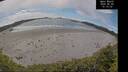 ./images/calvert/beach/20260605/beach20260605_151001M.jpg