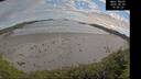./images/calvert/beach/20260605/beach20260605_195501M.jpg