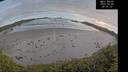 ./images/calvert/beach/20260605/beach20260605_203501M.jpg