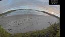 ./images/calvert/beach/20260605/beach20260605_204501M.jpg