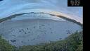 ./images/calvert/beach/20260605/beach20260605_221501M.jpg