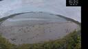 ./images/calvert/beach/20260606/beach20260606_045001M.jpg