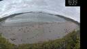 ./images/calvert/beach/20260606/beach20260606_050001M.jpg