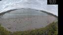 ./images/calvert/beach/20260606/beach20260606_050501M.jpg